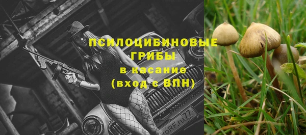 бошки Беломорск