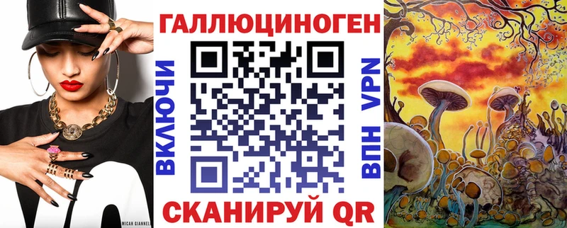 Псилоцибиновые грибы мицелий  купить наркотики сайты  кракен tor  Козьмодемьянск 